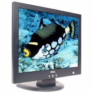 DELL Monitor E151FPp 15"/ B Klasa 0